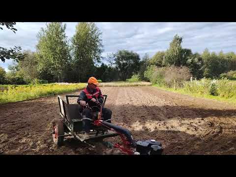 Видео: Сезон Картохи закрыт. 2025😆