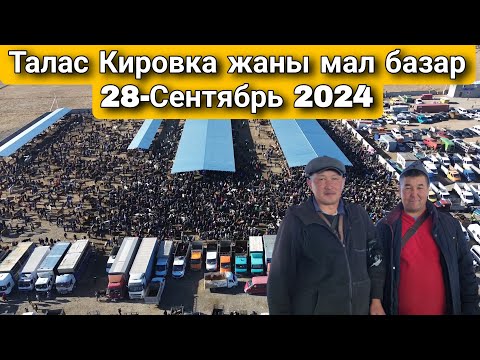 Видео: Жаны мал базар Талас Кировка 28-Сентябрь 2024