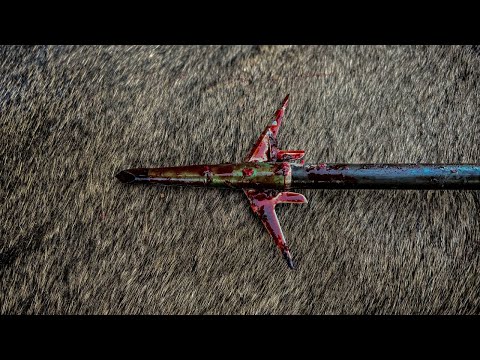 Видео: День открытия соревнований по стрельбе из лука в Пенсильвании 2025. Извлеченные уроки