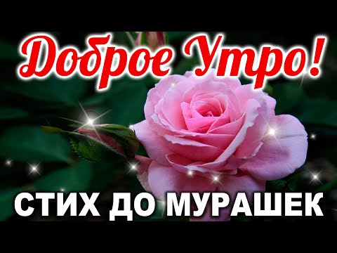 Видео: 🔴ОЧЕНЬ МУДРО СКАЗАНО! С ДОБРЫМ УТРОМ! ДОБРОЕ УТРО И ХОРОШЕГО ДНЯ! Стих "Письмо Бога"