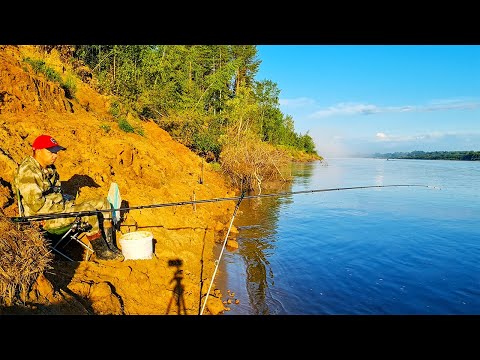 Видео: Семейный отдых. Рыбалка с ночевкой. Рыбалка на Фидер. Закидушки. Еда на костре.