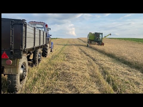 Видео: Вигружаєм комбайн на ходу❌ Тестуємо новий причіп🔥Жнива 2025‼️