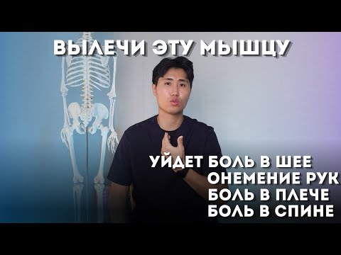 Видео: Вылечи эту мышцу и забудешь про боль в шее, спине, плече, онемение рук