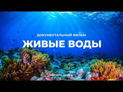 Видео: Живые воды. Разумный замысел в океанах Земли. Документальный фильм | Мифы эволюции