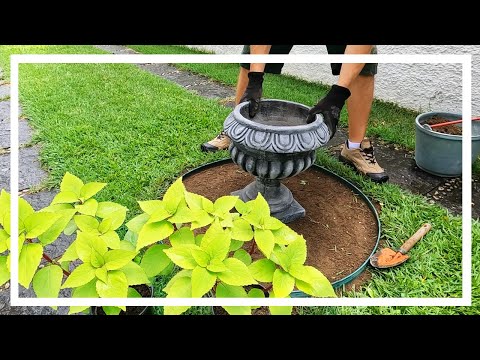 Видео: Навыки этого садовника остаются впечатляющими!