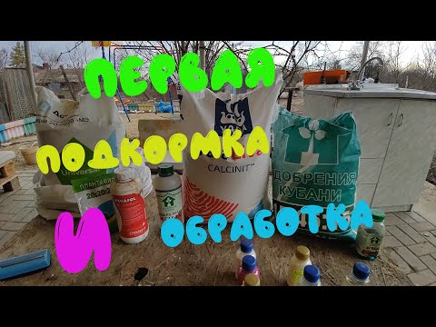 Видео: Первая подкормка и обработка (от клеща и гнилей) клубники после зимы.