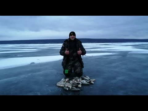 Видео: Рыбалка на поплавок. Печенежское водохранилище. Глухозимье. Попали на бешеный клев!