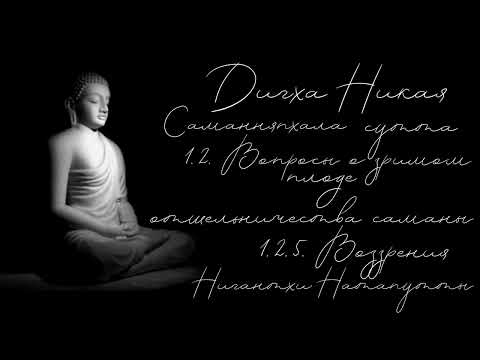 Видео: ДН2 -  1.2.5. Воззрения Нигантхи Натапутты. Саманняпхала сутта из ДИГХА НИКАЯ