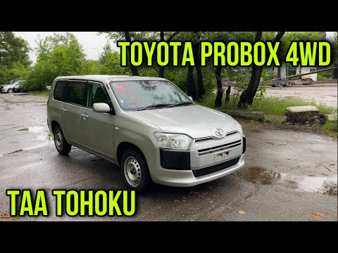 Видео: TOYOTA PROBOX 4WD GL С АУКЦИОНА TAA НО ЕСТЬ НЮАНС