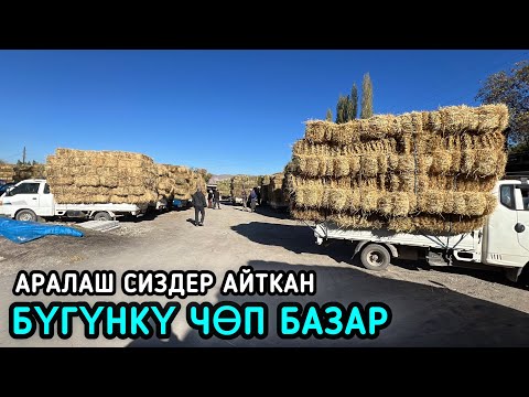 Видео: НООКАТ ЧӨП БАЗАРЫ / 20-Октябрь 2024 Жыл @Aalamkabar97