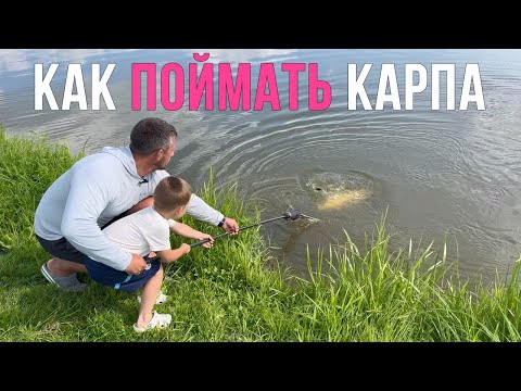 Видео: Дневная рыбалка на карпа. Как поймать много карпа? Карпфишинг 2025