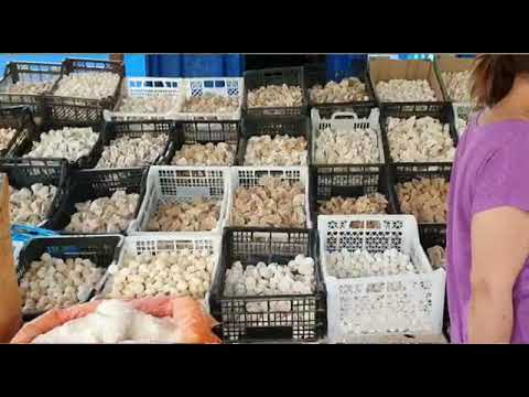 Видео: Зайсан базары.  June , 2022