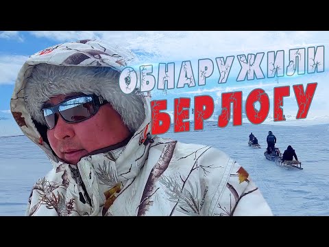 Видео: ПРОВЕРЯЕМ МЕДВЕЖЬИ БЕРЛОГИ. ОПАСНЫЕ ПУТИ. ЭКСТРЕМАЛЬНО ХОЛОДНАЯ ЯКУТИЯ.