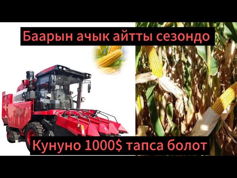 Видео: Кытайдан жаны заманбап комбайн келди сатылат #комбайн #трактор