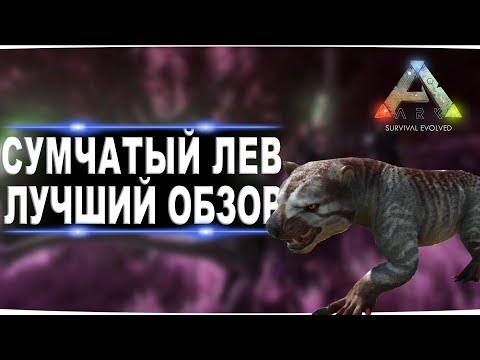 Видео: Сумчатый лев (thylacoleo)  в АРК. Лучший обзор: приручение, разведение и способности  в ark