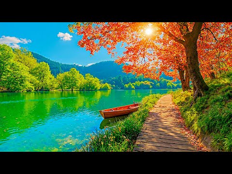 Видео: Красивая расслабляющая музыка 🌿Успокаивающая музыка для сердца 🌿Спокойные фортепианные ритмы для сна