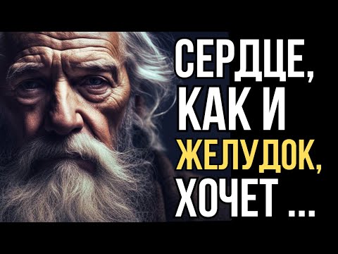 Видео: До Мурашек! Мудрые Слова, Дарующие Силу и Открывающие Путь к Счастью