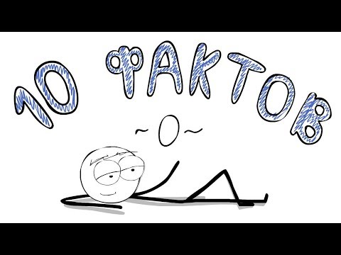 Видео: 10 ФАКТОВ о МедиаЛузере