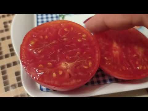 Видео: Очень вкусные сорта томатов Оранжевая клубника, Клубничное дерево и Клубничка оранжевая.