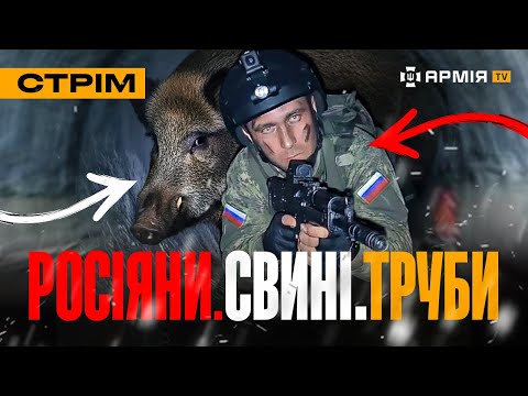 Видео: ЧИ ПРАВДА, ЩО КАБАН НАПАВ НА ОКУПАНТА? В БЄЛГОРОДІ БЛЕКАУТ, «ПТАХИ МАДЯРА» АТАКУВАЛИ КРИМ: стрім