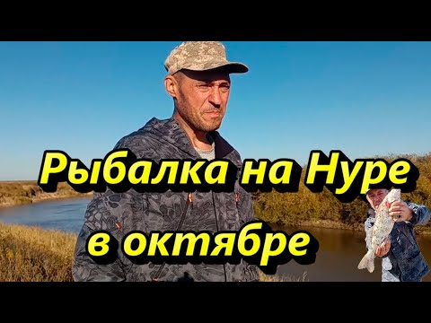 Видео: Рыбалка на Нуре в октябре