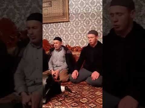 Видео: турчи на даргинском