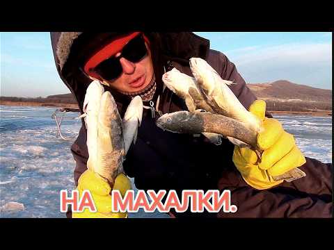 Видео: Ловля наваги на махалки. Зимняя рыбалка в Приморье.