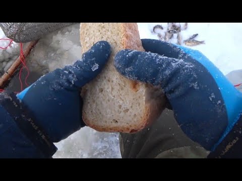 Видео: Якутия. Проверка тычек на налима. Ноябрь.