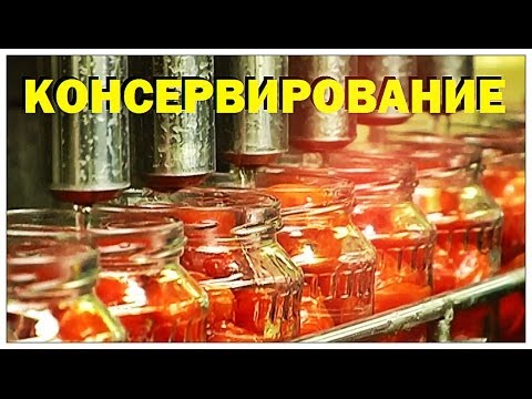 Видео: Галилео. Консервирование