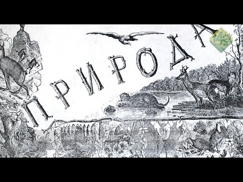 Видео: ПЪРВОПРОХОДНИЦИТЕ. Историческо видео за началото на организираното ловно движение в България.