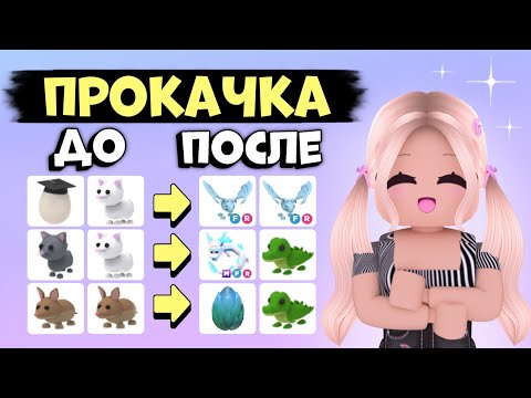 Видео: КАК ПРОКАЧАТЬСЯ В АДОПТ МИ С НУЛЯ!? ОТ НУБА ДО ПРО! | Adopt me Roblox