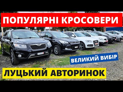 Видео: ЦІНИ НА КРОСОВЕРИ // ЛУЦЬКИЙ АВТОРИНОК // 26.09.2024р. #колоритмоторс #автопідбір #кросовери