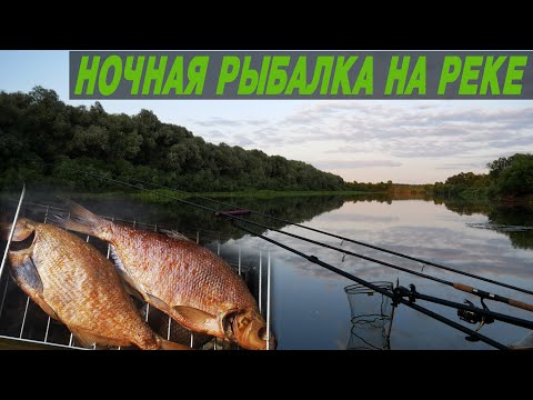 Видео: НОЧНАЯ РЫБАЛКА НА РЕКЕ. Ловля на фидер. Копченый лещ
