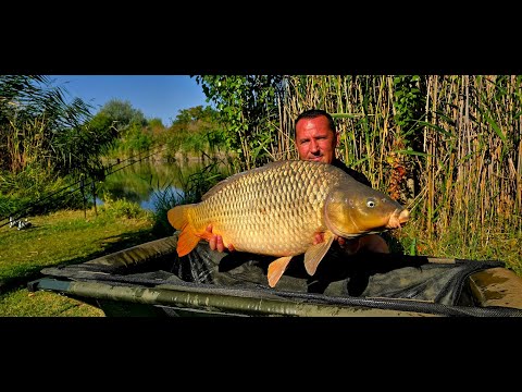 Видео: 🔥Посетихме два страхотни водоема – Забранения водоем и Krotiria Lake House!