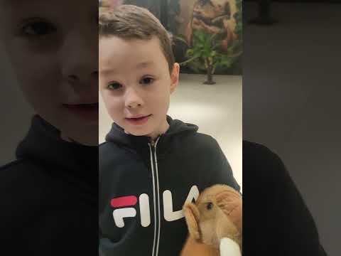 Видео: Продолжение роликов про парки динозавров в городе Тольятти ноябрь 2025