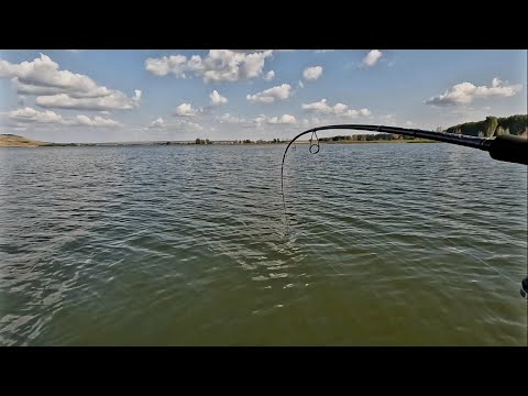 Видео: Не МОГУ её ПОДНЯТЬ.  Таких я ещё не ловил. ТРОФЕЙ. Рыбалка в начале сентября.