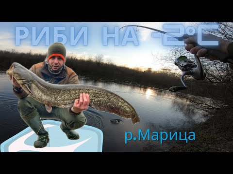 Видео: 🐟Открих сезона 🤩 Първи риби за 2024 | Сом | Распер | Бяла. Риболов на река Марица!