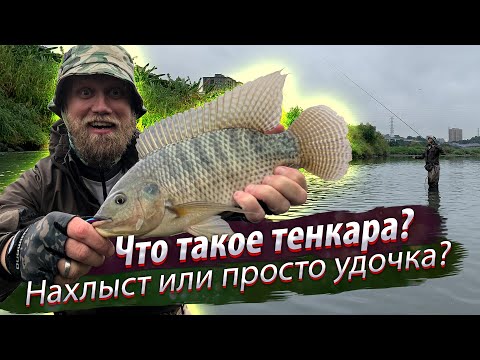 Видео: Что такое ТЕНКАРА? Как и где ловить тенкара? Оснастка монтаж и проводка. Рыбалка на Тенкара.