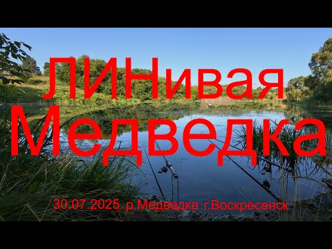 Видео: ЛИНивая Медведка. 30.07.2025. река Медведка. г. Воскресенск. Рыбалка в Подмосковье.