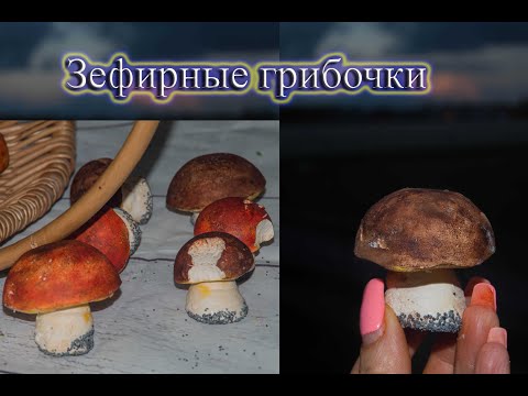 Видео: Зефирные грибочки