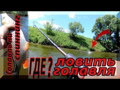 Видео: Где и как ловить голавля. Поиск перспективных мест для ловли голавля на воблеры.