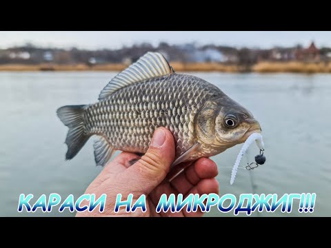 Видео: Караси на МИКРОДЖИГ! Нашёл большую стаю!