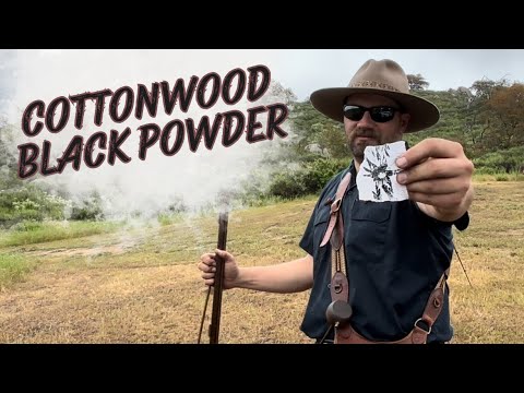 Видео: Черный порох из тополя