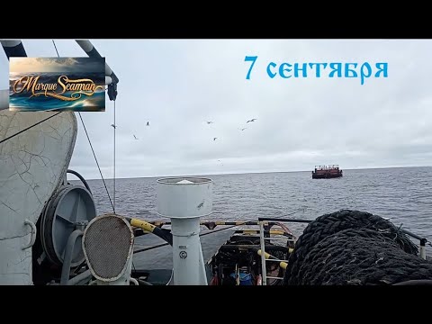 Видео: 7 сентября "Репортаж с буксирной лебедки"