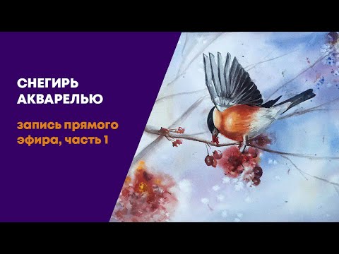 Видео: Прямой эфир по марафону «Зимнее чудо». Часть 1