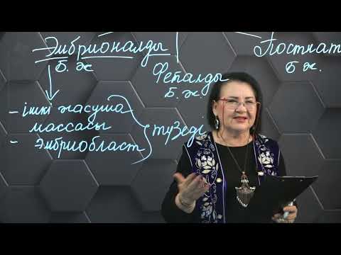 Видео: Бағаналы жасушалардың түрлері. 11 сынып - §30. 1 бөлім.