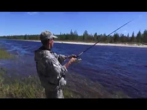 Видео: Рыбалка на речке Буотама