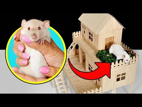 Видео: Как Сделать Домик для Крысы из Палочек от Мороженого