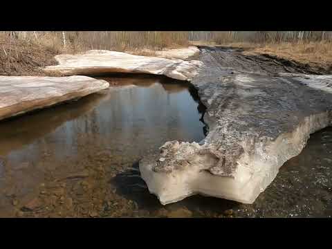 Видео: Посевная 2024. Буксуем. Пашем. ПСКУ