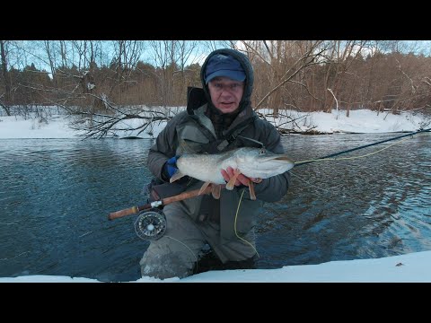 Видео: Зимний нахлыст в подмосковье. Щука есть ее не может не быть.
